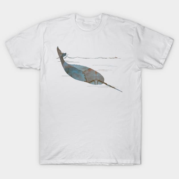 Narwhal T-Shirt by BittenByErmines